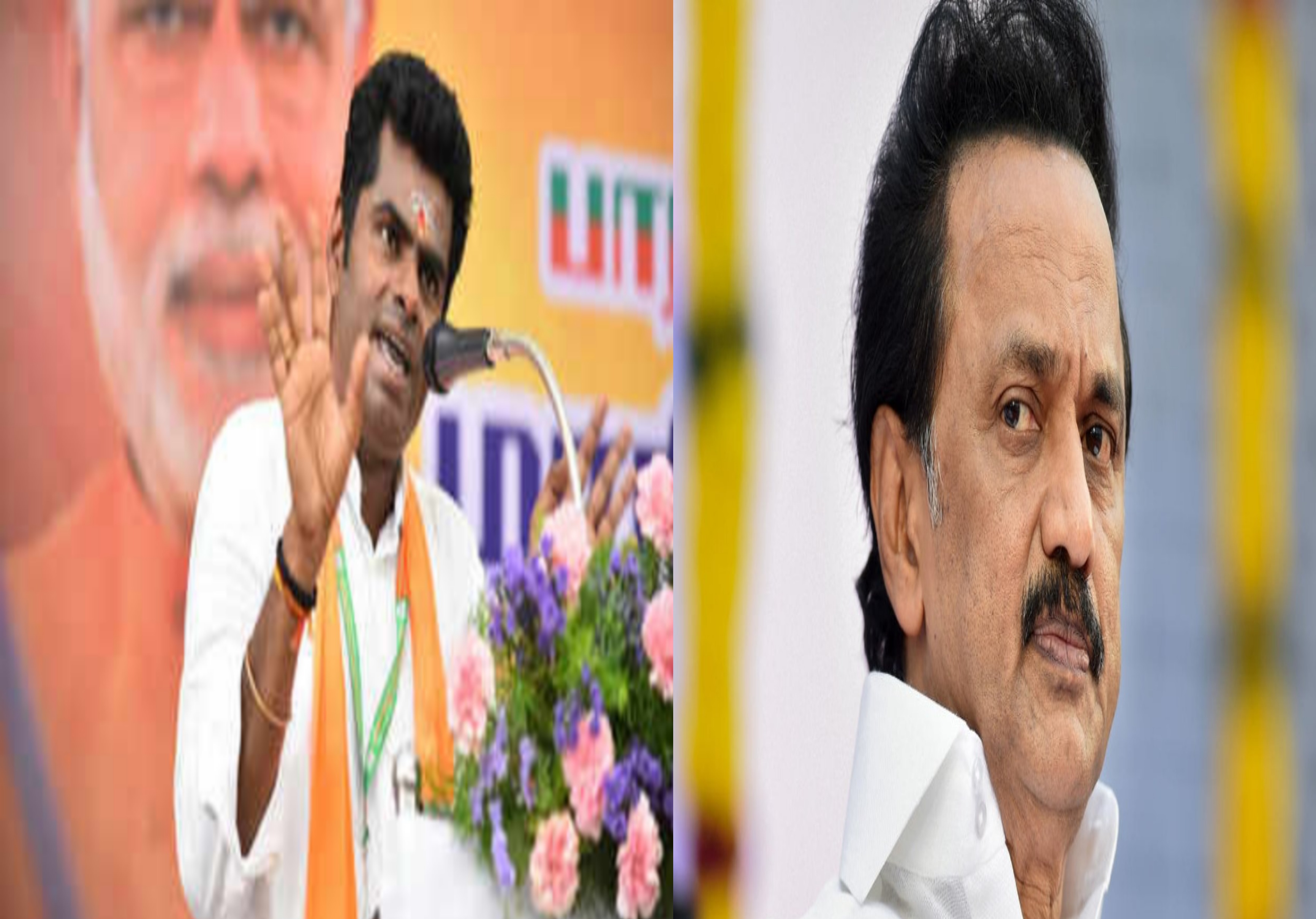 Annamalai,mk stalin