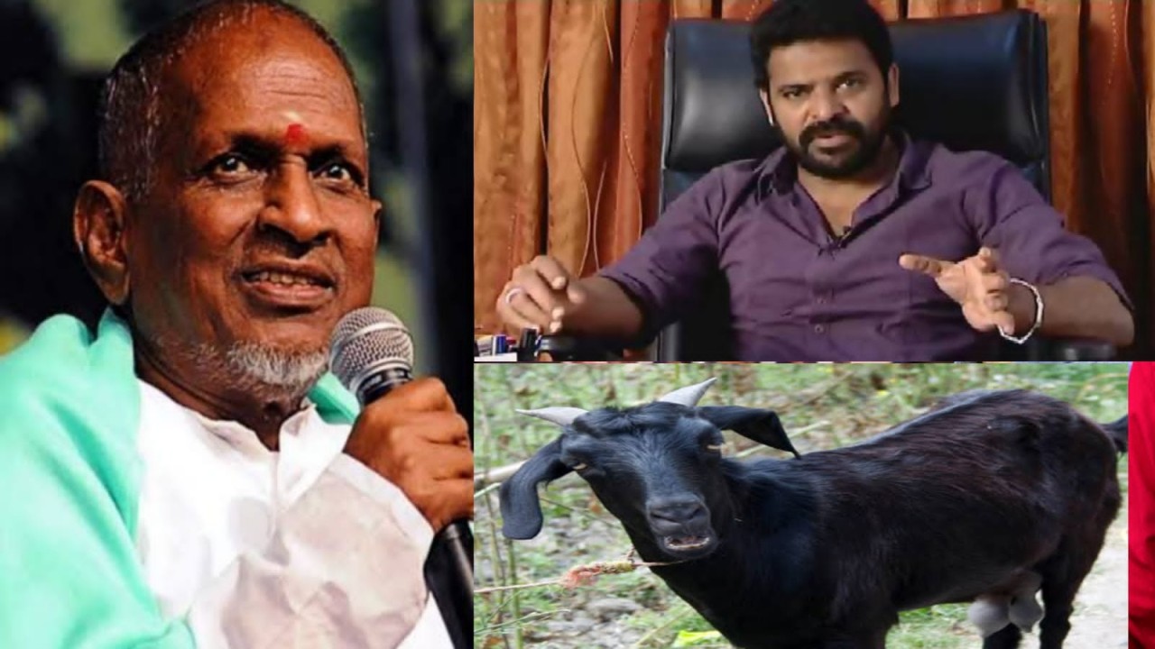 Ilayaraja , Ameer